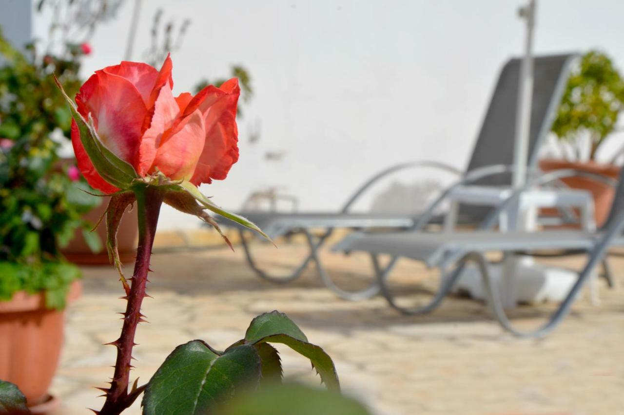 Villa Olive Grove And Sea View Agios Spyridon  Exteriör bild